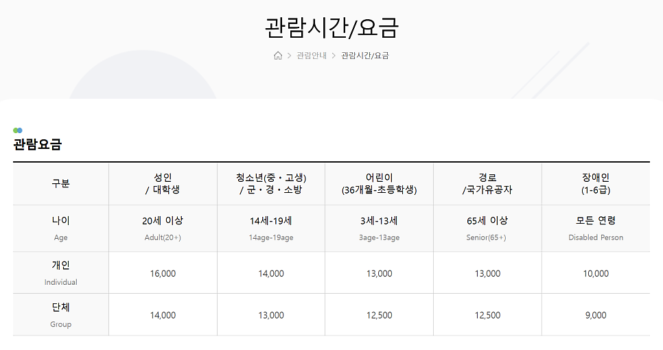 제주 체험 제주 액티비티 추천 | 제주 아이랑 실외 실내 체험 메이즈랜드 후기 이미지 24