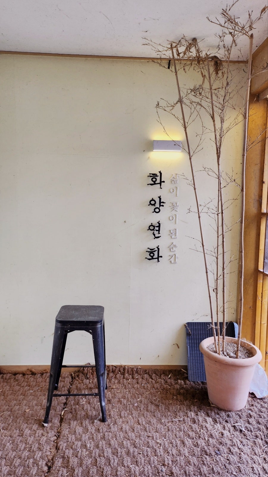 순창 카페 추천 | 광주 한옥 카페 전주 맛집 카페 화양연화에서 생딸기 빙수 후기 이미지 30