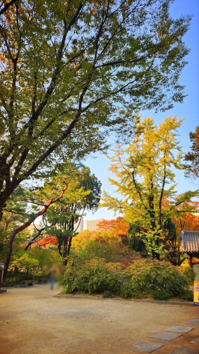 서울 데이트 코스 추천 | 가을을 느낄 수 있는 덕수궁과 정동길 산책 | 덕수궁 무료입장 정보 이미지 10