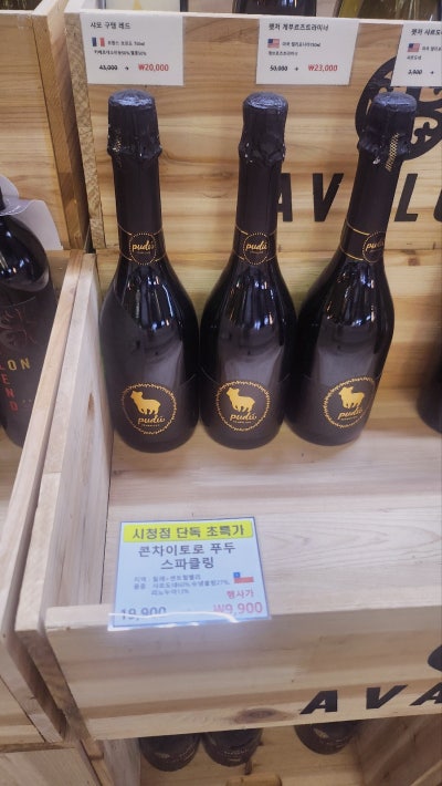 광화문 피자 맛집 추천 | 분위기 좋고 맛도 좋은 도치피자 내돈내산 후기 이미지 8