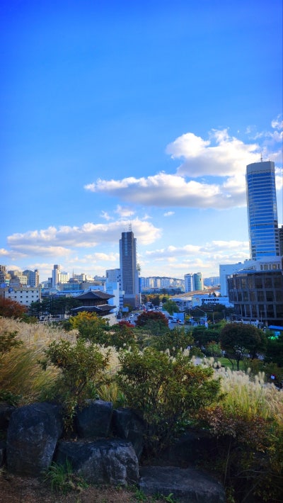서울 데이트 코스 추천 | 단풍과 함께하는 낙산공원 흥인지문공원 산책 코스 후기 이미지 29