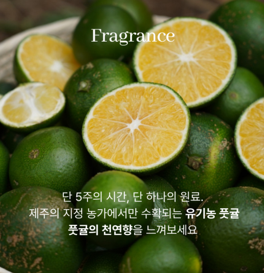 토너패드 추천 | 비타민C앰플 듬뿍 들어간 모공패드 캄프 풋귤패드 사용 후기 이미지 15