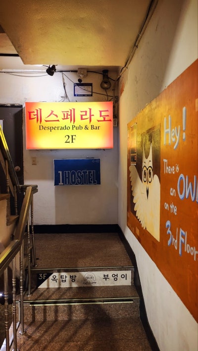 홍대 분위기좋은 술집 | 홍대 데스페라도 후기 (합정 상수 홍대 테라스 술집) 이미지 4