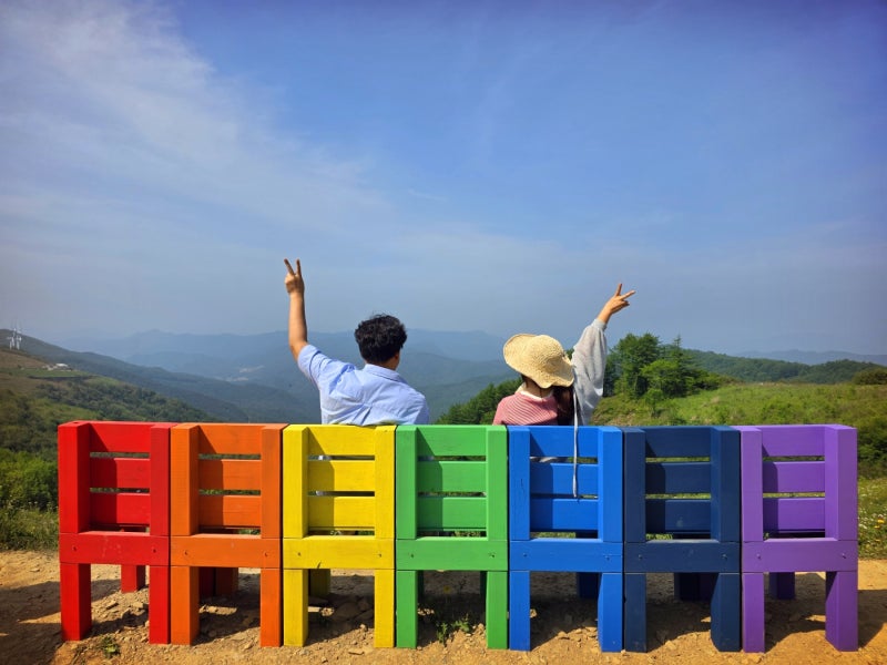 강원도 6월 여행 추천 | 평창 청옥산 육백마지기 데이지 이미지 6