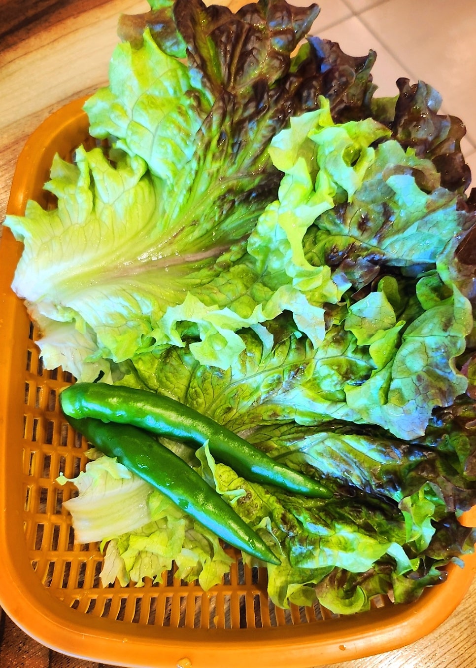 아산테크노밸리 맛집 추천 | 밑반찬 맛있고 가성비 넘치는 아산 고기집 둔포 맛집 일품참숯갈비 후기 이미지 18