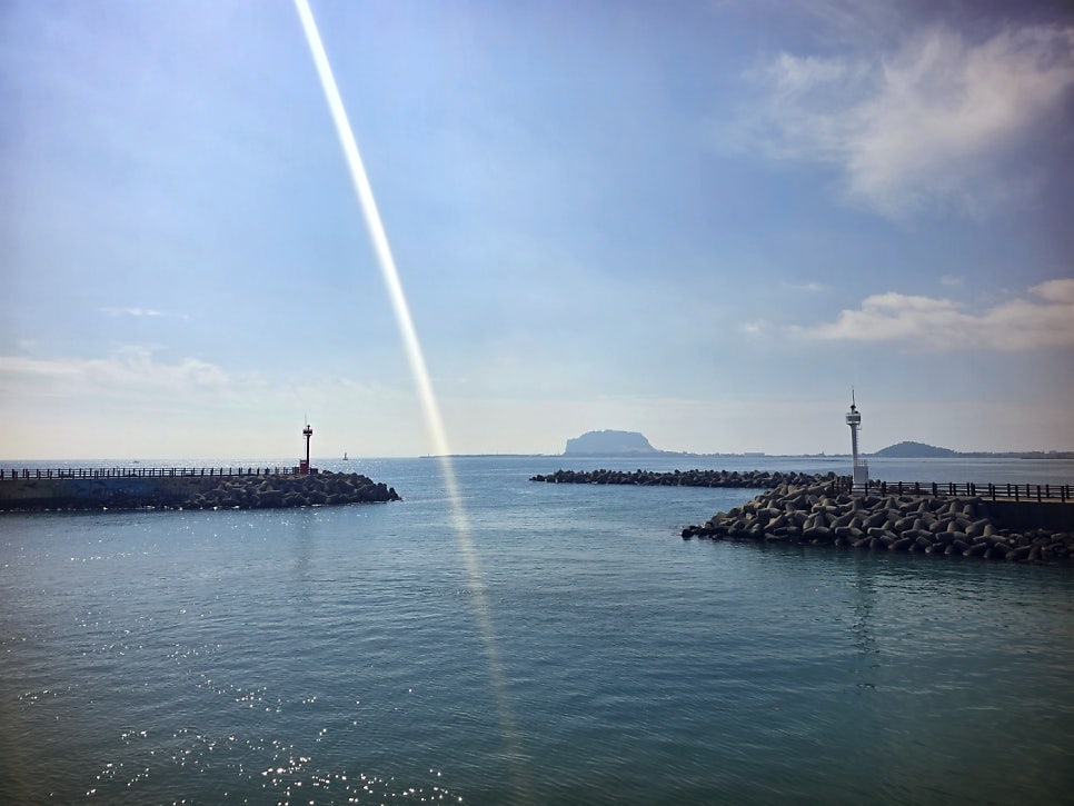 제주도 우도 배 시간 및 요금 | 종달항 - 하우목동항으로 배타고 우도가기 이미지 5
