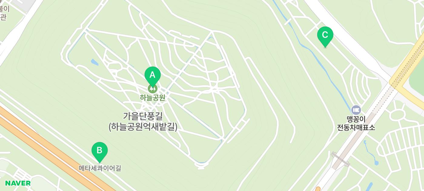 하늘공원 서울 산책코스 추천 | 꽃무릇이 활짝 핀 하늘공원 메타세콰이어길 후기 이미지 20