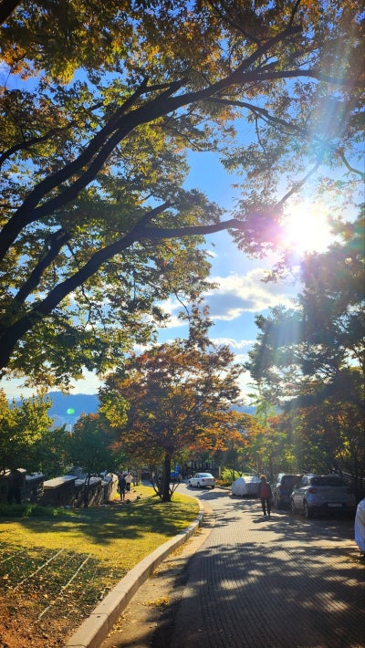 서울 데이트 코스 추천 | 단풍과 함께하는 낙산공원 흥인지문공원 산책 코스 후기 이미지 25