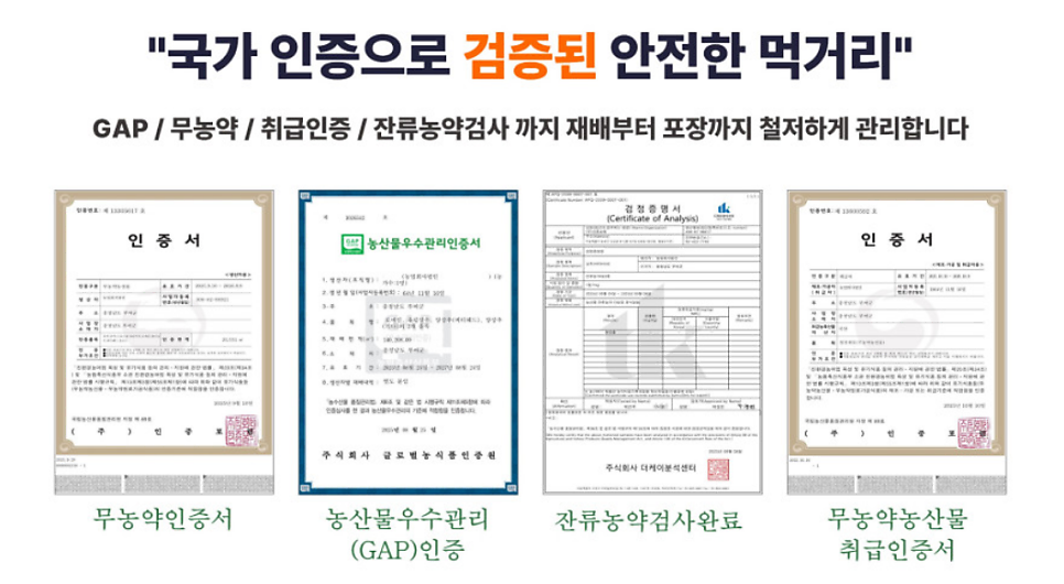 샐러드 채소 추천 | 당일배송 가능한 쌈채소 야채샐러드 유러피안샐러드 샐러드 달달푸드 후기 이미지 18