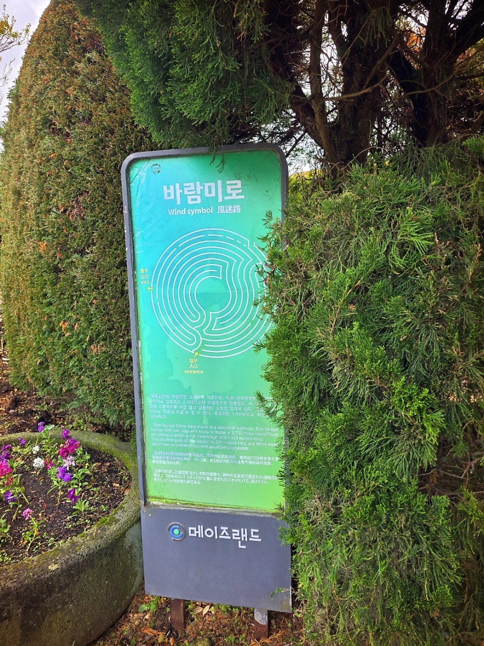 제주 체험 제주 액티비티 추천 | 제주 아이랑 실외 실내 체험 메이즈랜드 후기 이미지 7
