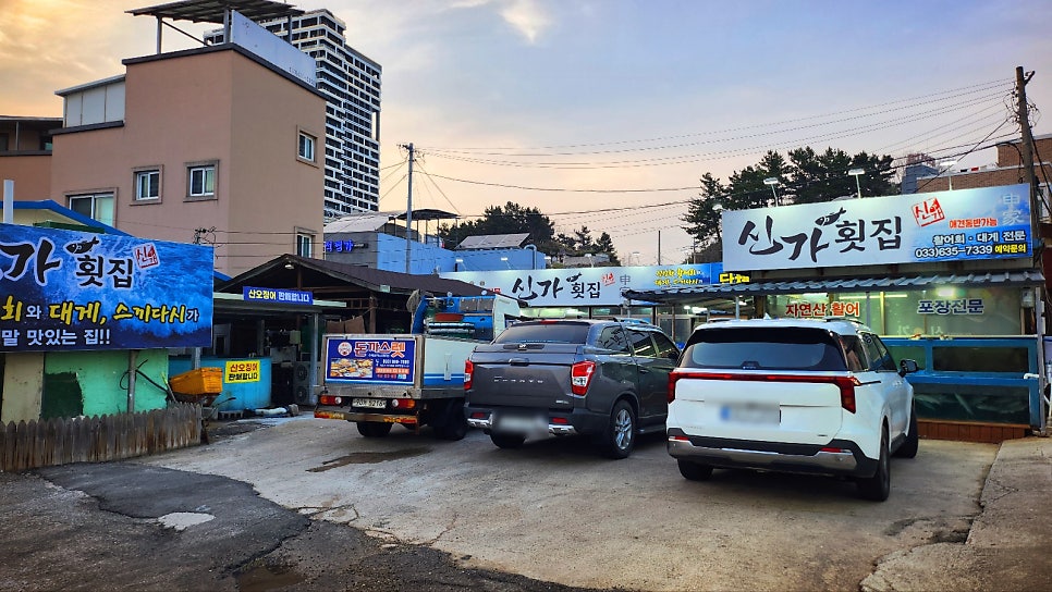 동명항 맛집 횟집 추천 | 속초 현지인 맛집 신가에서 모듬회 후기 이미지 7