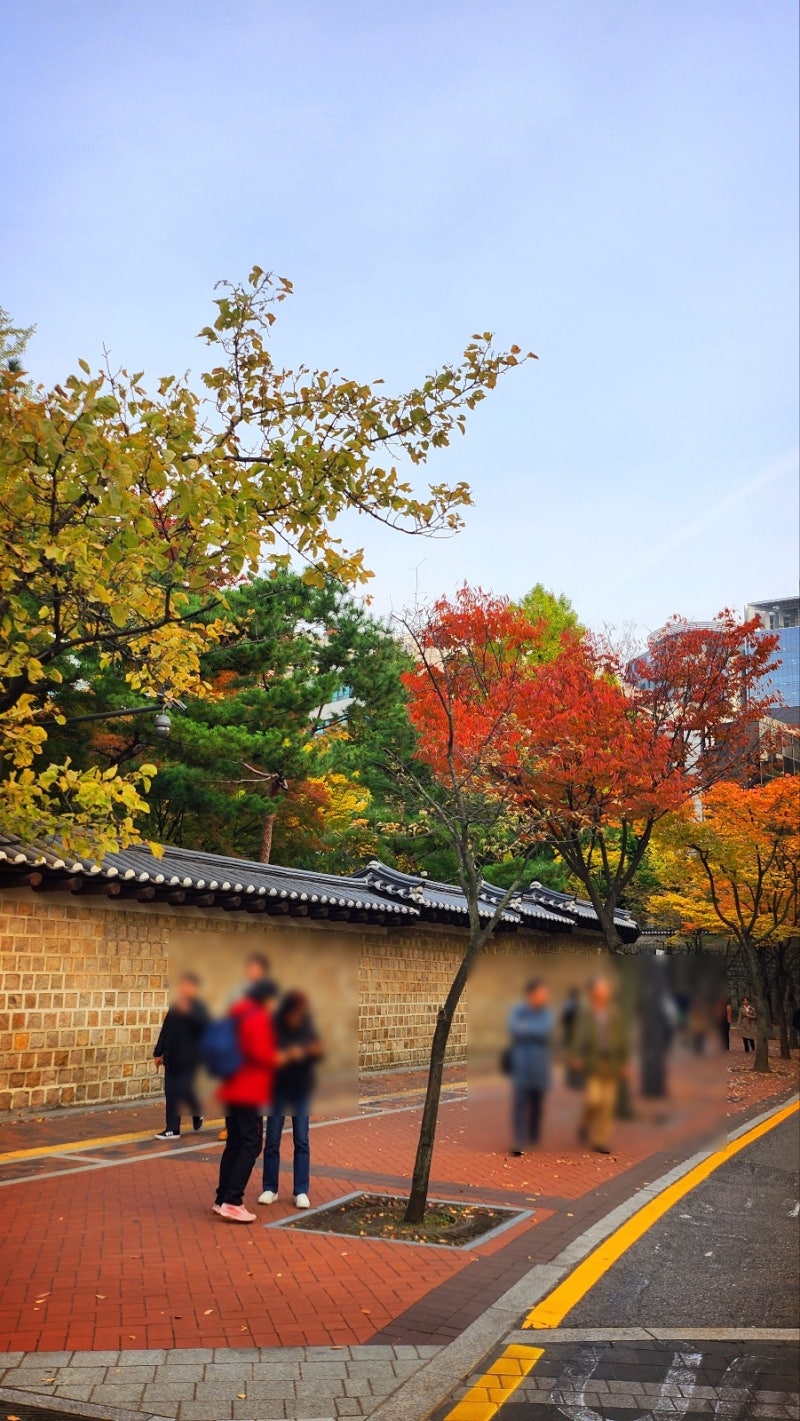 서울 데이트 코스 추천 | 가을을 느낄 수 있는 덕수궁과 정동길 산책 | 덕수궁 무료입장 정보 이미지 14