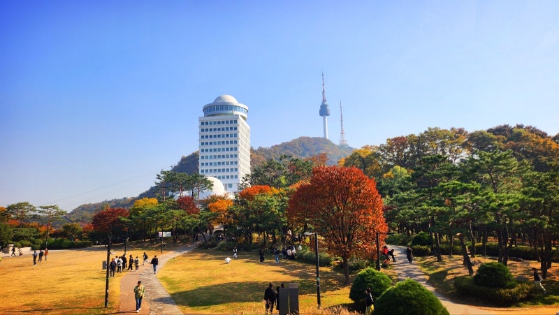 서울 데이트 코스 추천 | 단풍과 함께하는 남산공원 백범광장 코스 현재 이미지 21