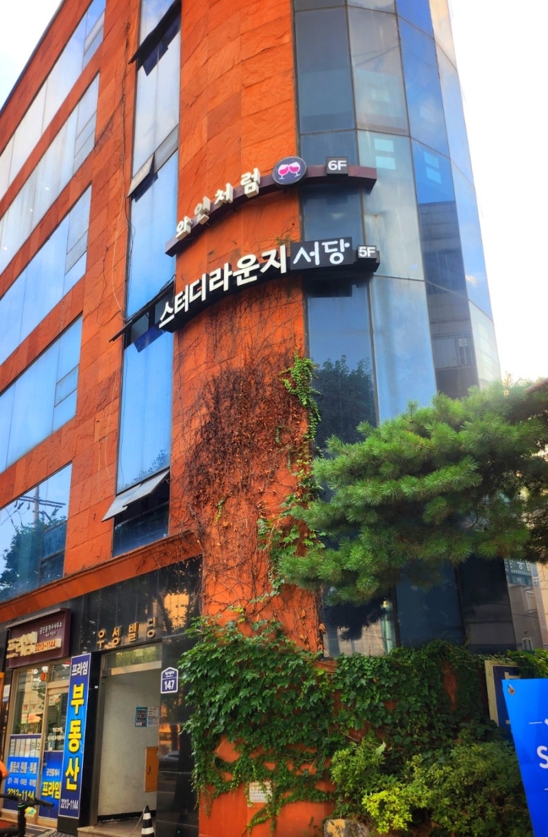 청량리 와인바 추천 | 청량리 스테이크 맛집 '와인처럼' 방문 후기 이미지 3