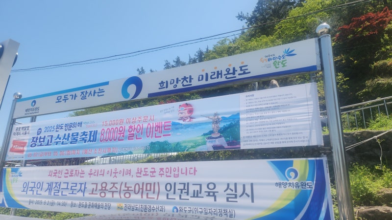 완도 여행 코스 추천 | 일출 일몰 명소 완도타워 방문기 이미지 9