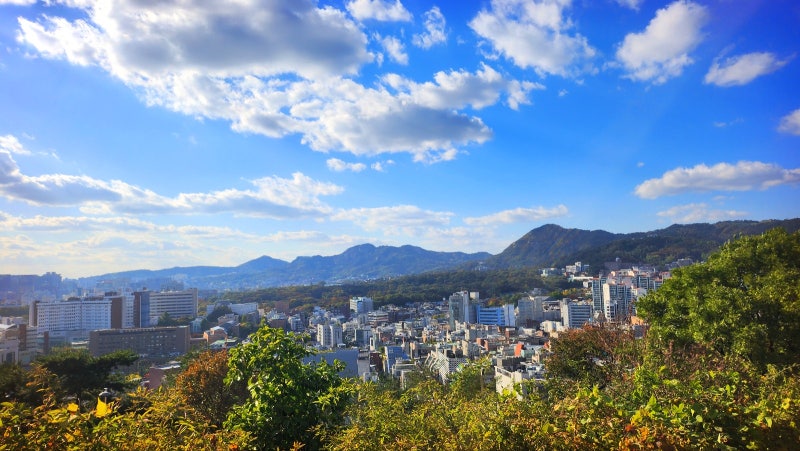 서울 데이트 코스 추천 | 단풍과 함께하는 낙산공원 흥인지문공원 산책 코스 후기 이미지 21
