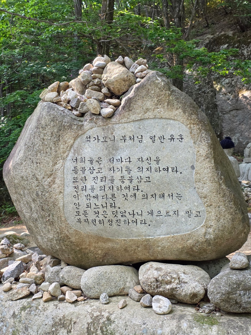 강원도 고성 | 금강산 설악산 성인대 화암사 숲길코스 울산바위 등산코스 후기 (코스, 주차정보) 이미지 4