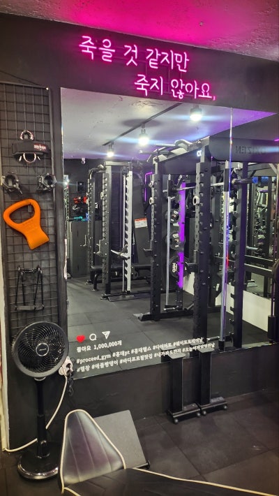 서교동PT 홍대피티 추천 | 프리미엄 PT 전문 홍대피티샵 프로씨드짐 후기 이미지 18